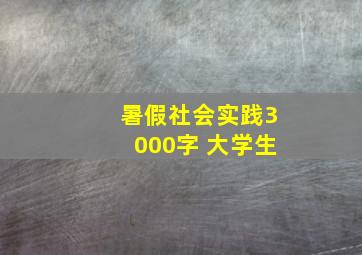 暑假社会实践3000字 大学生